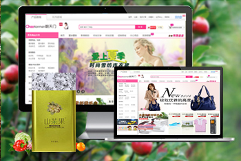 ���ĳ������̳�